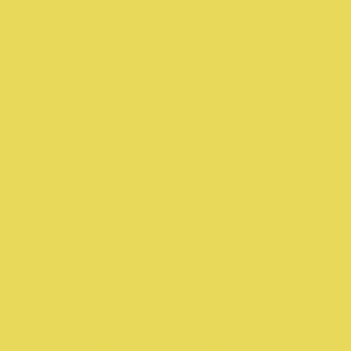 S106_Lemon_Squash
