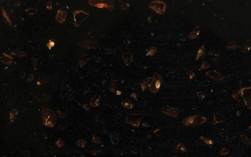 TS-202_Apollo