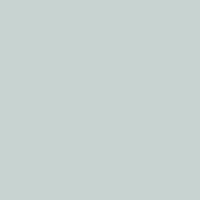 ash_grey_901