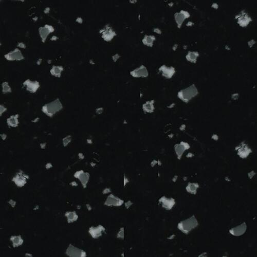 trio-t-041-blackglass